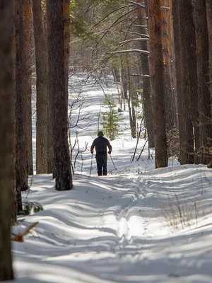 Прогулка на лыжах по зимнему лесу» 2022, Лаишевский район — дата и место  проведения, программа мероприятия.