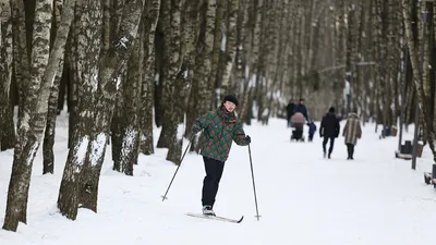Как выбрать беговые лыжи по росту и материалу для катания в разных стилях,  стоимость лыж