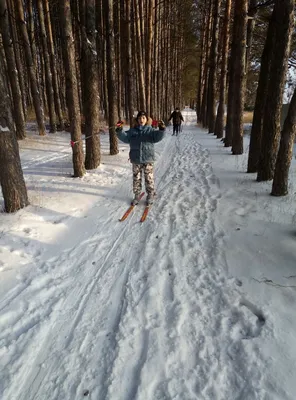 Вчера (23 февраля) каталась на лыжах по лесу | Пикабу