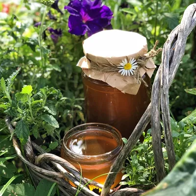 Майский мёд — Casa Albinei- Honey Production