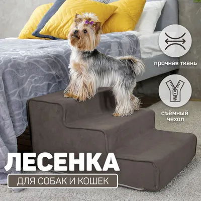 Лестница для собак прикроватная для маленьких, средних пород - купить с  доставкой по выгодным ценам в интернет-магазине OZON (915433197)