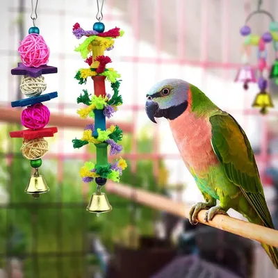 Архив Маленькие попугайчики - волнистый попугай, окрасы на любой вкус ✔️  300 грн. ᐉ Попугаи в Киеве на BON.ua 76755279