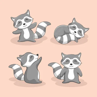 История о том, как маленький енот перевернул жизнь девушки! | Baby raccoon,  Pet raccoon, Raccoon funny