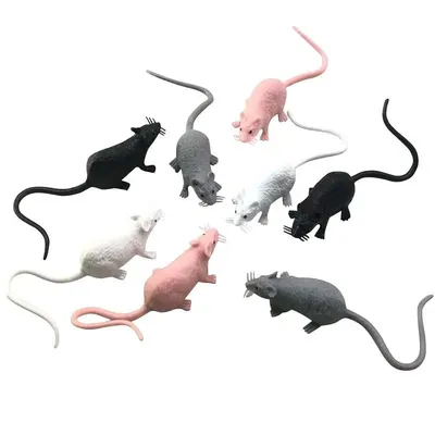 Портрет маленькой серой крысы Стоковое Изображение - изображение  насчитывающей лапка, мышь: 129072219