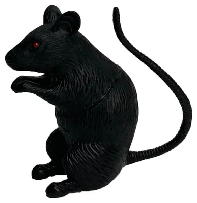 Жилье для декоративной крысы — Ветклиника «Центр»