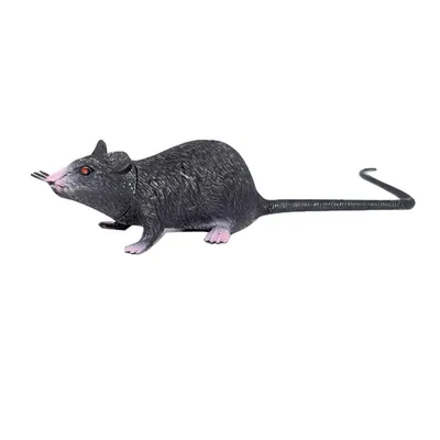 Такая милая и неприхотливая… крыса | greenbelarus.info