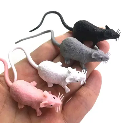 Маленькая крыса с разноцветной …» — создано в Шедевруме