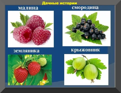 Правильная ягода - Продажа натуральной клубники и малины, Челябинск -  «Никогда не думала, что покупные ягоды могут быть настолько вкусными!  Сладкий и вкусный отзыв о малине и клубнике в сентябре. Разве такое