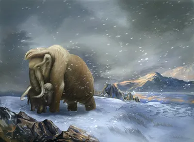 Мамонт Колумба: Один из крупнейших слонов в истории планеты, в два раза  тяжелее современного - ЯПлакалъ
