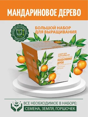 Павловский питомник - Саженцы Павловского лимона - Мандариновое ДЕРЕВО В  ПОДАРОК 🎁 🍋 ⠀ ⠀ Друзья, у нас для вас отличные новости!⠀ ⠀ Тем, кто давно  хотел приобрести себе саженец мандаринового дерева,