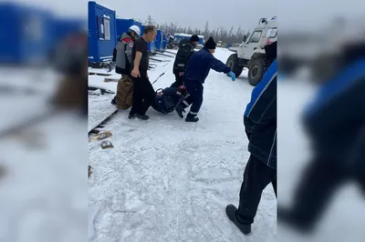 Медведь съел человека. Посёлки на севере Иркутской области пустеют, звери  выходят к жилью - YouTube