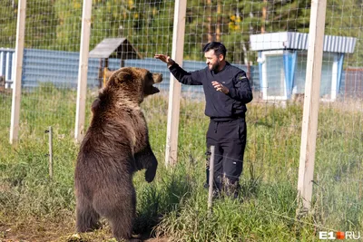 На Камчатке медведь забрался в дом и напугал спящего мужчину