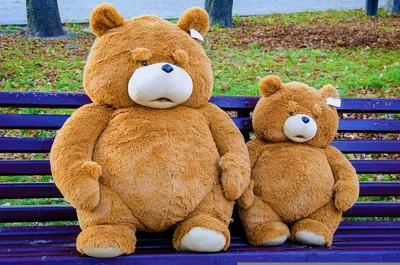 Медведь Тед из фильма Третий лишний