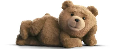 Плюшевый мишка игрушка Тед/45см мишка/Третий лишний/ТЭД/медведь мягкий |  AliExpress