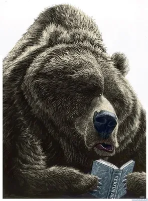 Аватар Русский Медведь - Картинка на Аватарку