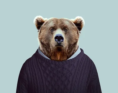 Большой бурый медведь читает сказку Три медведя — Фотки на аву