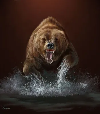 Мультяшный медведь для срисовки - 59 фото