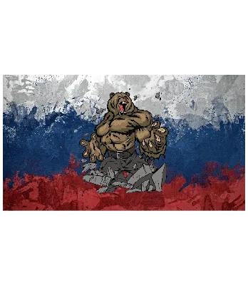 Фото медведя на фоне российского флага 72 фото