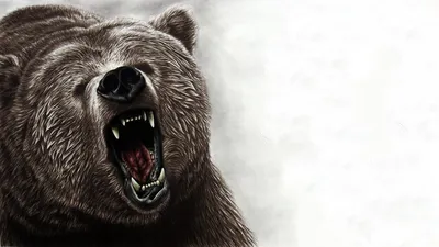 Медведь борец - 58 фото