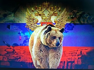 Медведь на фоне российского флага - фото и картинки abrakadabra.fun