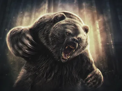 Картинки на заставку медведь - 83 фото