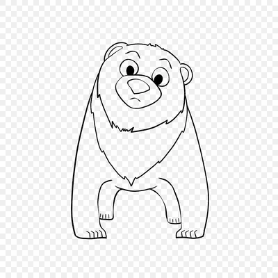 Bear sketch.. | Медведь, Рисунок, Рисунок карандашом