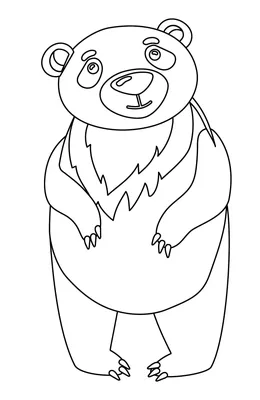 Рисунок медведя | Пикабу