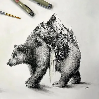 Чёрно-белый рисунок медведя с широко открытой пастью — Картинки для  аватарки | Татуировки медведя, Татуировки кельтского креста, Медведь
