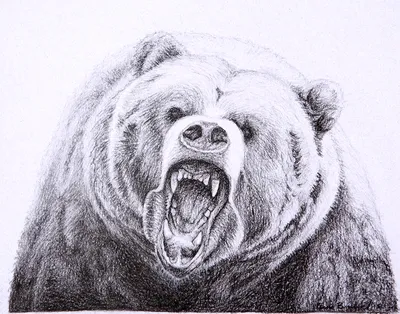 Рисунок Три медведя №44047 - «Сказки родного края» (07.01.2024 - 07:04)