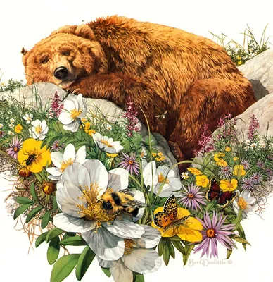Фото медведя с цветами 71 фото