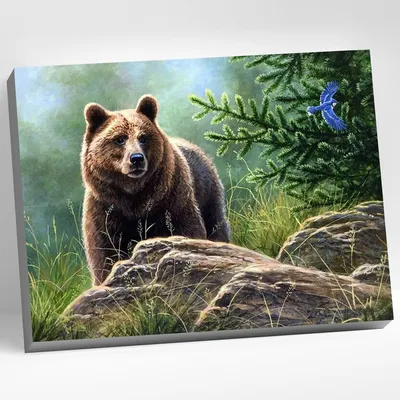 Коробка с медведем и цветами