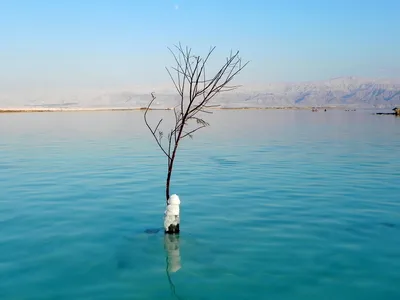 Мертвое море в Израиле |
