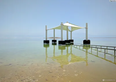 Israel | Dead Sea - YouTube