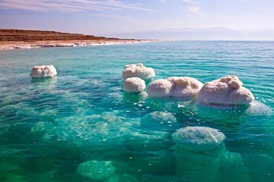 Фото мертвого моря израиль фото