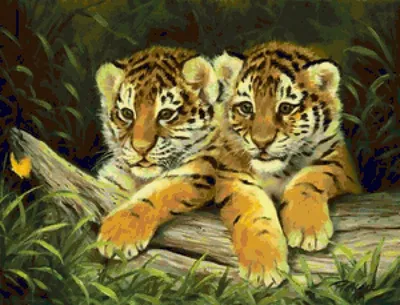 Тигрята на фотографиях. | Кошки. Милые и беспощадные | Дзен