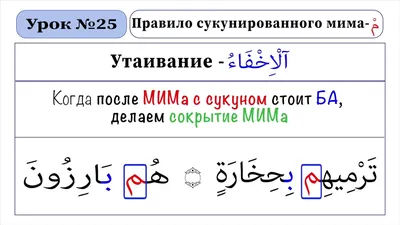 Коляска MIMA XARI 2 в 1 Camel (матрасики Denim Blue, шасси Silver 3g) -  ОФИЦИАЛЬНЫЙ МАГАЗИН mima.ru