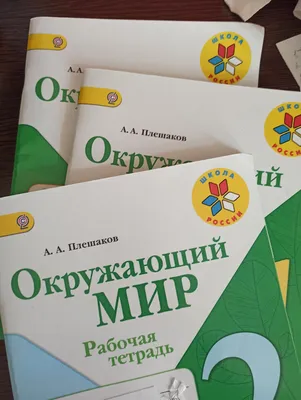 Легендарное задание по окружающему миру - нарисовать \"мир глазами кузнечика\".  А вчера мы ещё рисовали бюджет сказочной страны | Заметки мамы-училки | Дзен