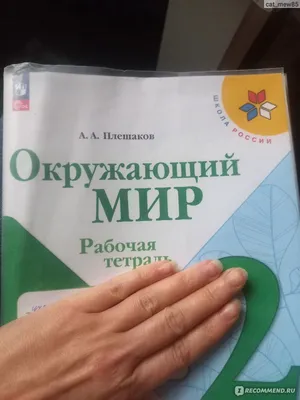 В защиту кузнечика — \"Мы такое не курим!\" — Сообщество «Это интересно  знать...» на DRIVE2