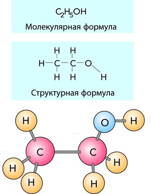 Молекула под микроскопом - 66 фото