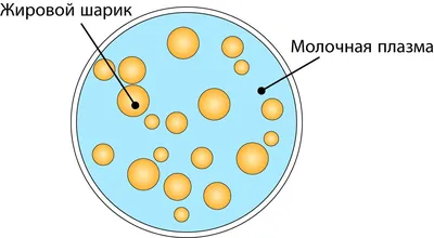 Клеточная мембрана Стоковые фотографии, картинки, все без лицензионных  отчислений - Envato Elements