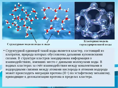 Microfluidic Fabrication of Core-Shell Microcapsules carrying Human  Pluripotent Stem Cell Spheroids | Protocol (Translated to Russian)