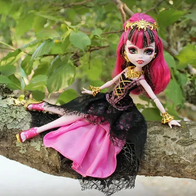 Кукла Monster High Джиджи Грант серии 13 желаний (BBK06-1) цены в Киеве и  Украине - купить в магазине Brain: компьютеры и гаджеты