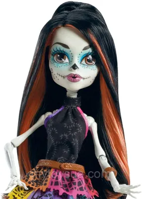 Кукла Монстер Хай Скелита Калаверас из серии Путешественницы  (ID#1260999141), цена: 3800 ₴, купить на Prom.ua