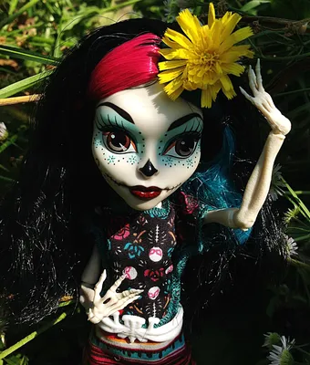 Отзыв о Кукла Monster High Скелита Калаверас \"Я люблю аксессуары\" | Я очень  довольна покупкой и всем любителям этих кукол рекомендую!
