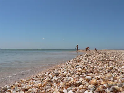 Феодосия Золотой пляж. Однокомнатная квартира с видом на море. | Жилье в  Феодосии