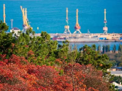 Пляж Песчаная балка расположен за поселком Приморский, это самый отдалённый  пляж Феодосии