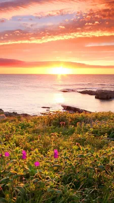 Olympic National Park, WA / закат :: фотография :: пейзаж :: Природа  (красивые фото природы: моря, озера, леса) / смешные картинки и другие  приколы: комиксы, гиф анимация, видео, лучший интеллектуальный юмор.