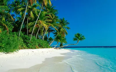 Тропики, море, пляж, песок, пальмы, облака, 2205x1470 | Flickr
