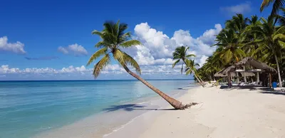 Обои на рабочий стол Пляж в тропиках, пальмы, море, прибой, обои для  рабочего стола, скачать обои, обои бесплатно