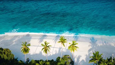 Пляж Пальмы Море - Бесплатное фото на Pixabay - Pixabay